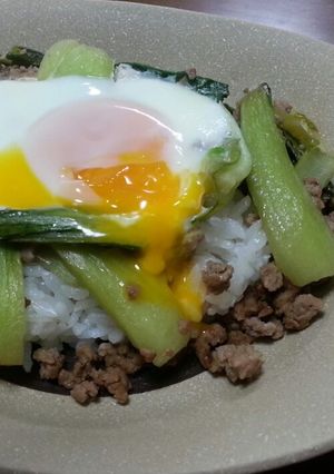 簡単！チンゲン菜とひき肉のとろーり玉子丼-レシピのメイン写真