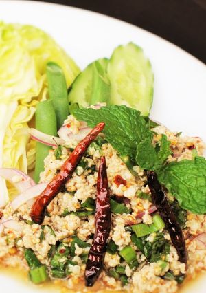 鶏味塩 de ラープ・ムー-レシピのメイン写真