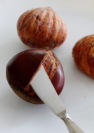 栗渋皮煮を作る時の鬼皮のむき方~その1~-レシピのメイン写真