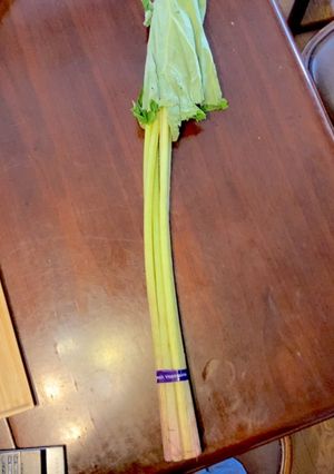 春の香り満喫！ふきを簡単に食べよう！-レシピのメイン写真