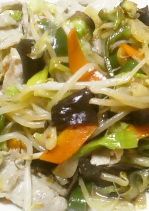 料理人の家の肉入り野菜炒め-レシピのメイン写真