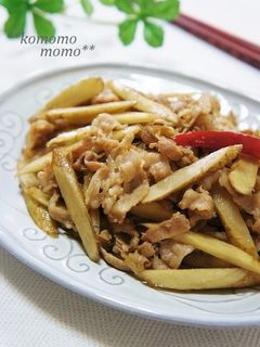 豚バラ肉とごぼうのきんぴら-レシピのメイン写真