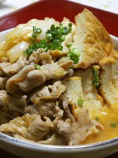 豚肉とキャベツと厚揚げのピリ辛味噌煮-レシピのメイン写真