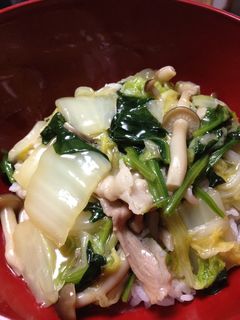 白菜と豚肉の和風あんかけ丼-レシピのメイン写真