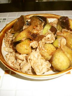 なすと豚肉のピリ辛炒め-レシピのメイン写真