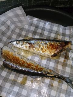 フライパンで!!秋刀魚の美味しい焼き方-レシピのメイン写真