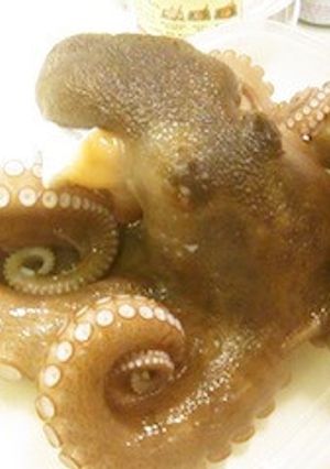 週末漁師のタコの下処理-レシピのメイン写真