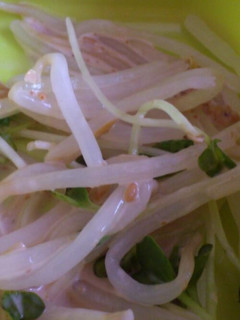 もやしサラダ-レシピのメイン写真