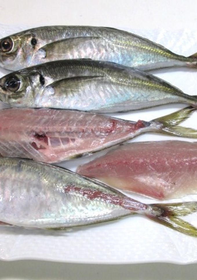 お魚の三枚おろし-レシピのメイン写真