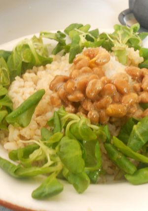 超特急！納豆おろし丼-レシピのメイン写真