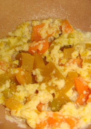 離乳食◇中期◇高野豆腐と野菜煮-レシピのメイン写真
