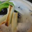 しじみDE大根焼きネギ鍋