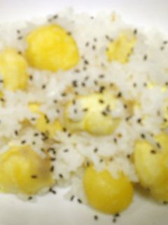 栗の炊き込みご飯-レシピのメイン写真