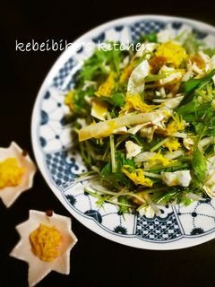 水菜と湯葉のじゃこ山椒サラダ-レシピのメイン写真