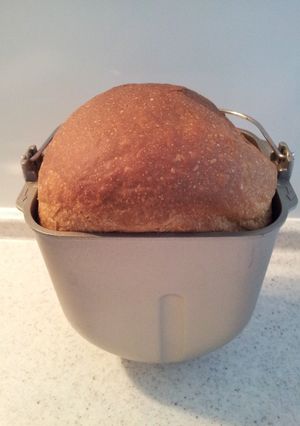 鉄板!毎日食べたい食パンレシピ-レシピのメイン写真