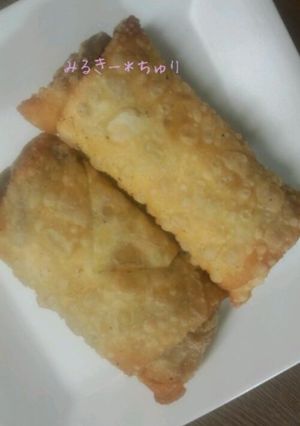 リメイク＊チーズinカレー春巻き-レシピのメイン写真