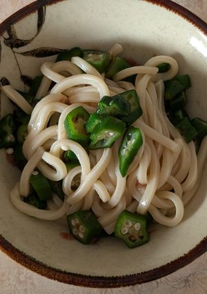 簡単★オクラうどん-レシピのメイン写真