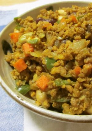 ダイエット　簡単ヘルシードライカレー-レシピのメイン写真