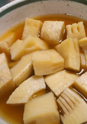 たけのこの煮物～♪-レシピのメイン写真