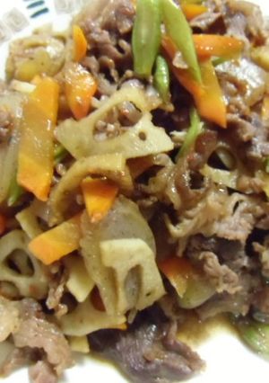 牛肉と色々野菜のきんぴら-レシピのメイン写真
