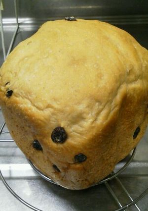 ＨＢレーズン入り全粒粉の食パン〈早焼き〉-レシピのメイン写真