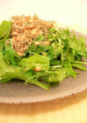 生が美味しい♪水菜とじゃこのカリカリサラダ-レシピのメイン写真