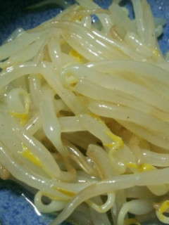 簡単☆もやしナムル-レシピのメイン写真
