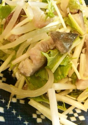 もやし水菜しめ鯖のシャキシャキサラダ-レシピのメイン写真