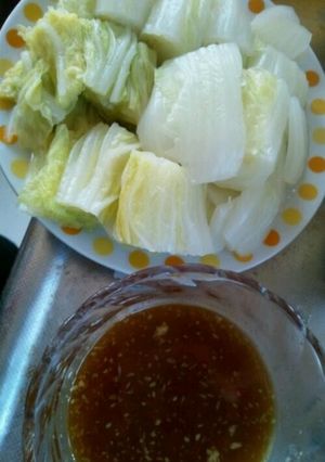 ばっちゃんの白菜おひたし-レシピのメイン写真