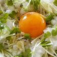 しらす月見 丼