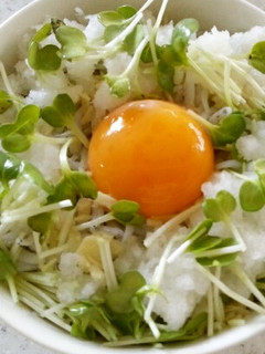 しらす月見 丼-レシピのメイン写真