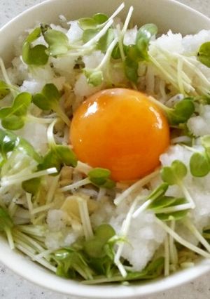しらす月見 丼-レシピのメイン写真