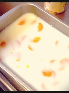 スプーン止まらない♫簡単デザート牛乳寒天-レシピのメイン写真