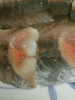 秋刀魚の酢〆-レシピのメイン写真