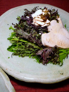 赤からし水菜と蒸し鶏のサラダ 京都カフェ-レシピのメイン写真