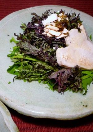 赤からし水菜と蒸し鶏のサラダ 京都カフェ-レシピのメイン写真