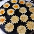 バター不使用・卵一コで河内晩柑のケーキ