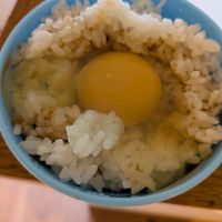 基本からアレンジまで！思わずつくりたくなる「卵かけご飯 焼き肉」の