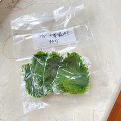 รูปของ 大葉の冷凍