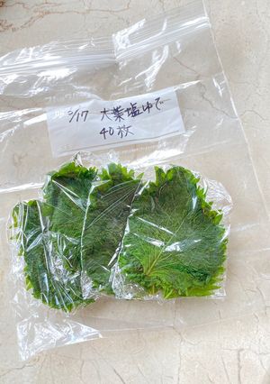 大葉の冷凍-レシピのメイン写真