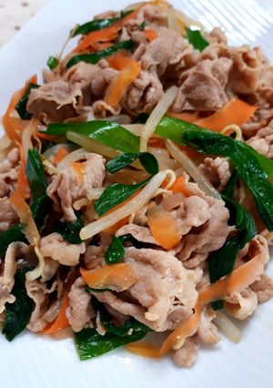 優しい味☆豚肉とニラともやしの味噌炒め-レシピのメイン写真