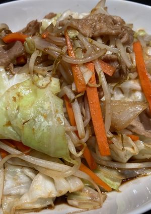 Porky Stir Fried-レシピのメイン写真