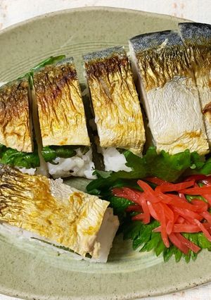 焼きサバ寿司-レシピのメイン写真