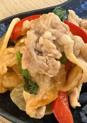 豚肉大根の中華風炒め-レシピのメイン写真