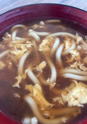 お熱の時のシンプルうどん-レシピのメイン写真