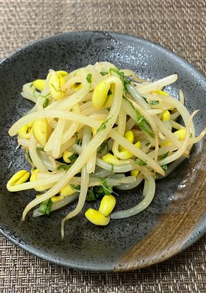 レンジ調理！豆もやしと大葉の旨辛酢和え-レシピのメイン写真