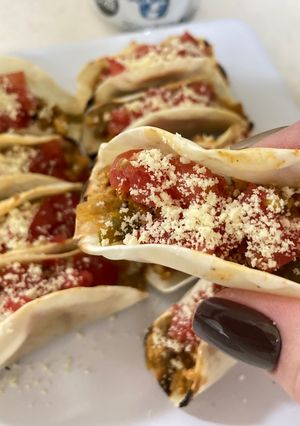 餃子の皮タコス風-レシピのメイン写真