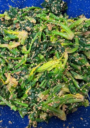 ほうれん草の胡麻和え-レシピのメイン写真