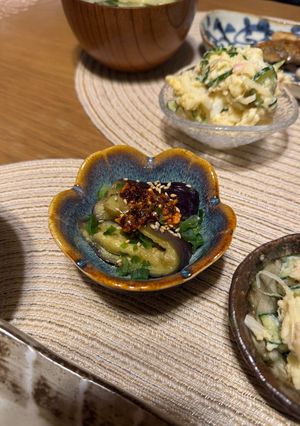 茄子のピリ辛つゆ浸し-レシピのメイン写真