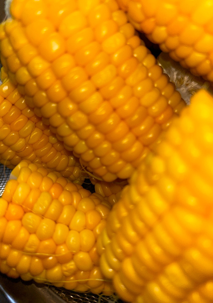 とうもろこし　蒸す🌽-レシピのメイン写真